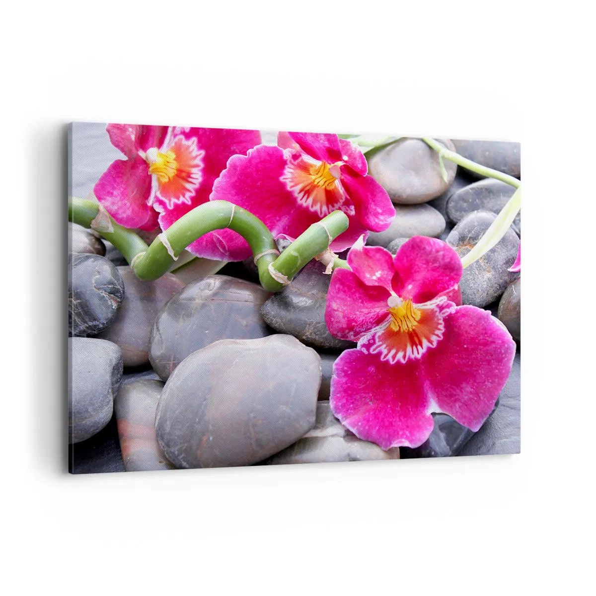 Lærredstryk - Billede på lærred - Kulde og varme - 100x70 cm