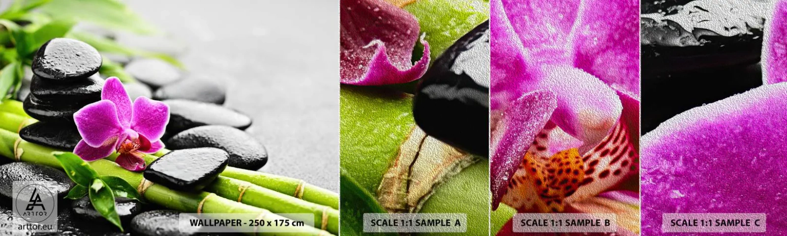 Prøve Fototapet Premium Sand - I en fredelig balance - Blomster, Orkidé, Orkidé - 100x30 cm