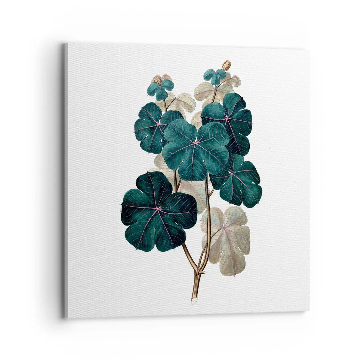 Lærredstryk - Billede på lærred - Fra et gammelt herbarium - 70x70 cm