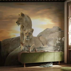 Fototapet Standard Eco - Kongelig majestæt - Dyr, Løve, Natur - 150x105 cm