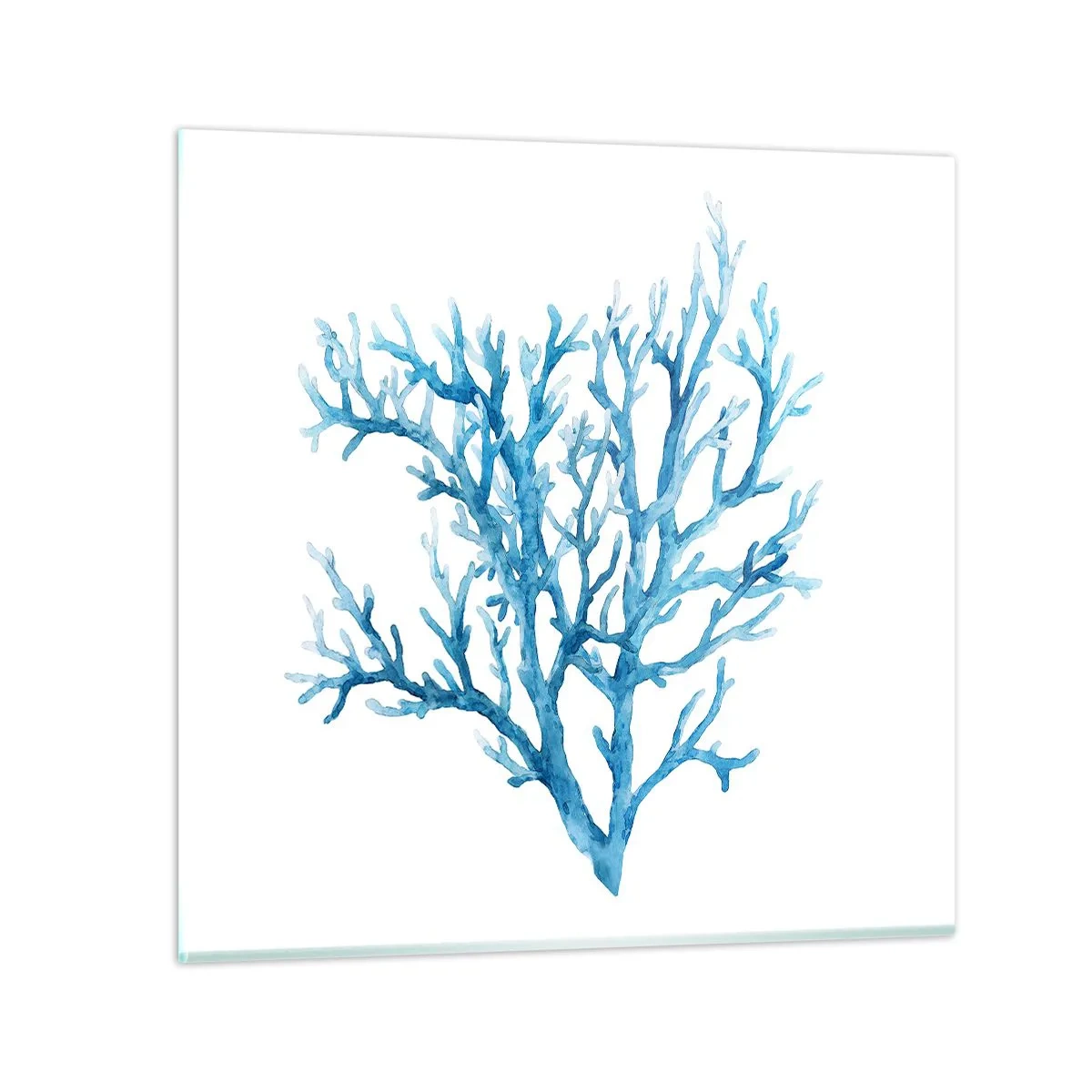 Billede på glas - Marint filigran - 70x70 cm