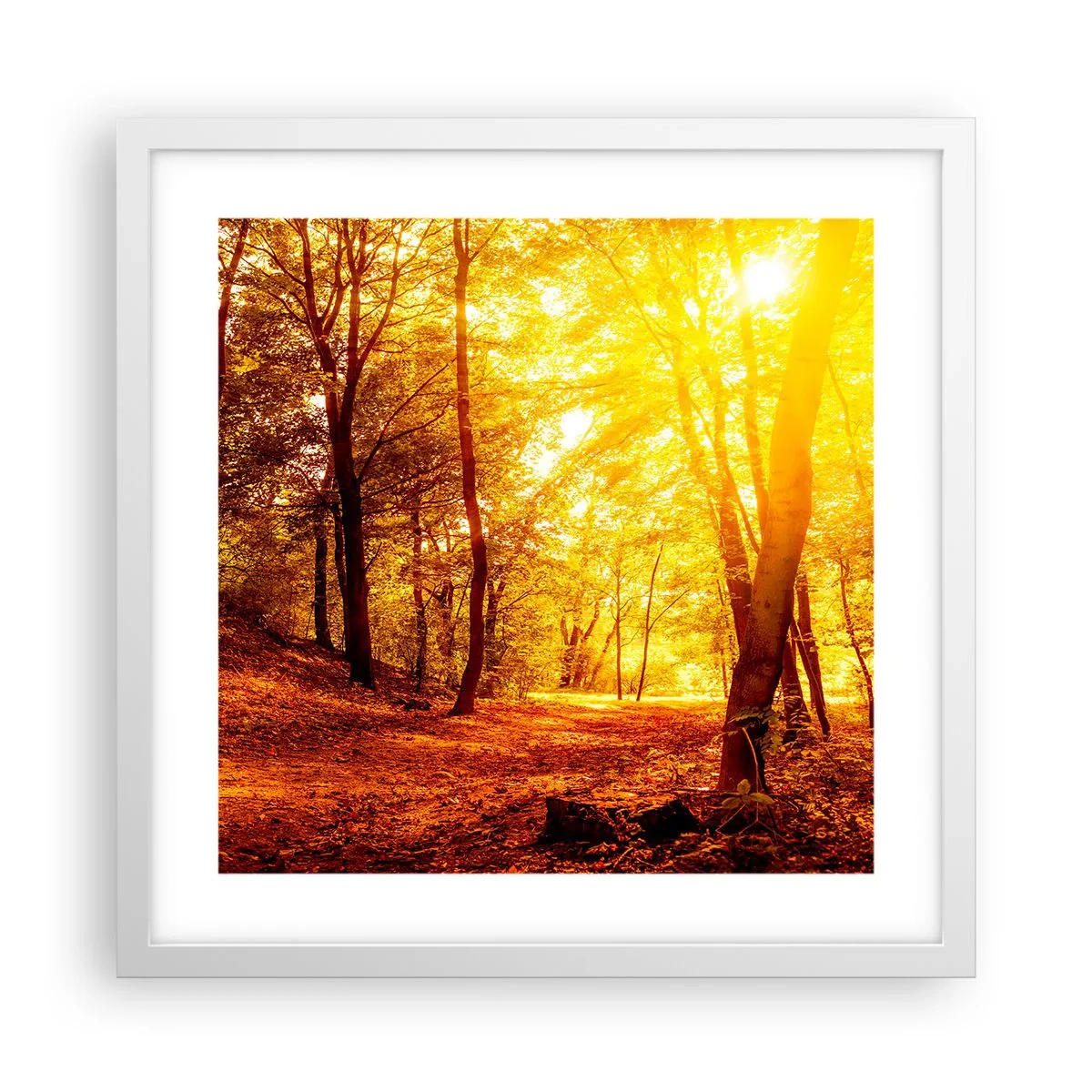 Plakat i hvid ramme - Til den gyldne lysning - 40x40 cm