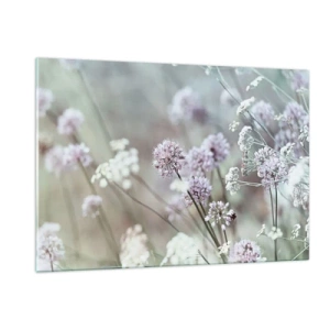Billede på glas - Søde filigranurter - 120x80 cm