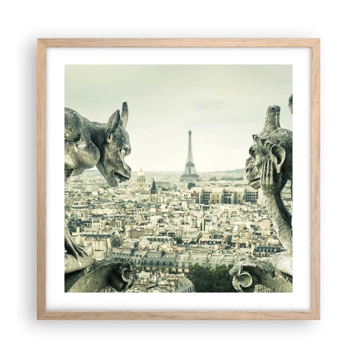Plakat i ramme af lyst egetræ - Parisisk chat - 50x50 cm