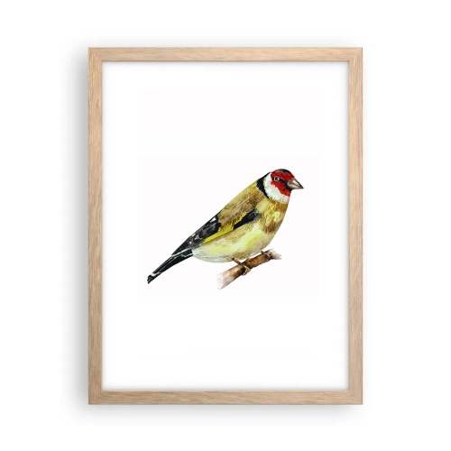 Plakat i ramme af lyst egetræ - Portræt af en fugl - 30x40 cm