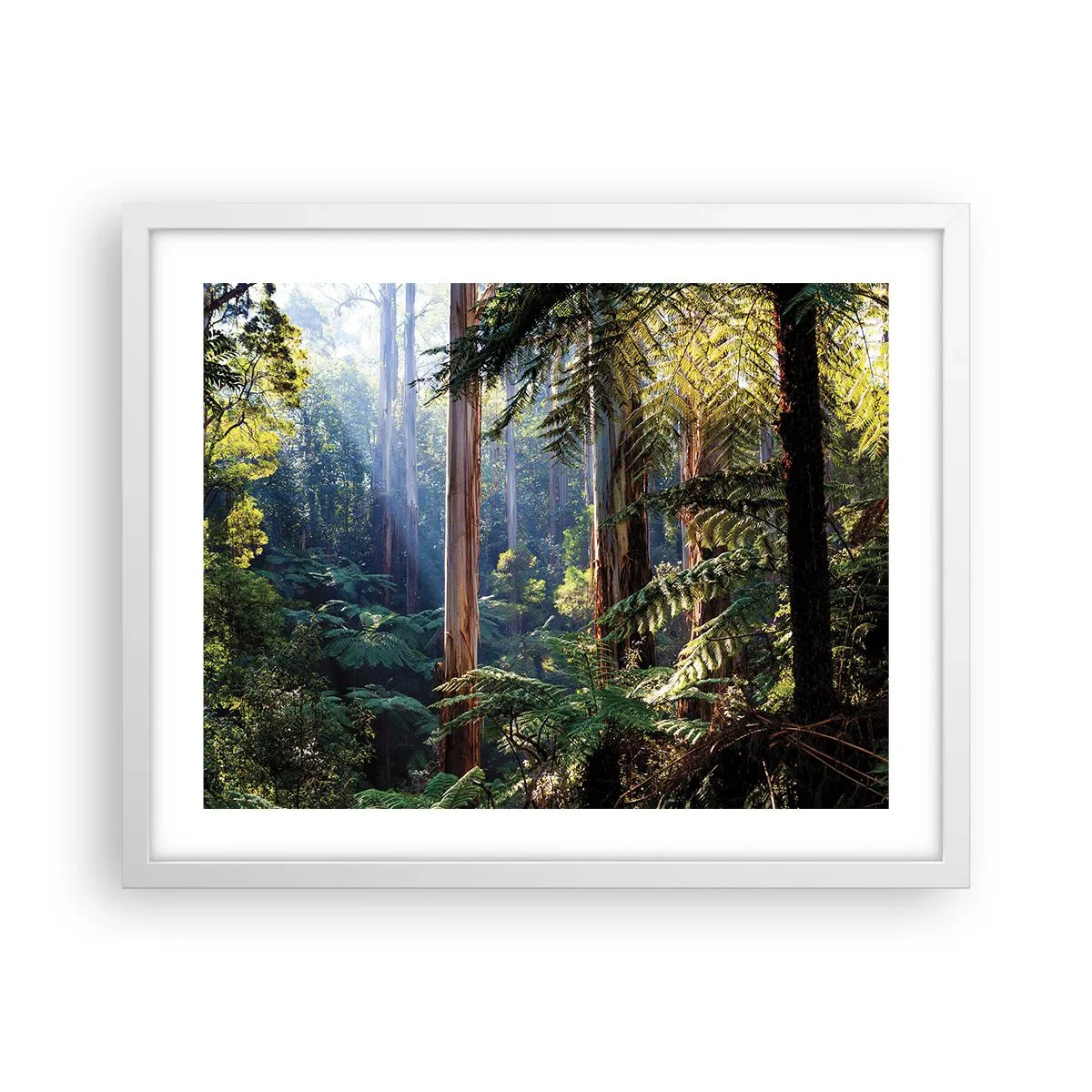 Plakat i hvid ramme - En fortælling om skoven - 50x40 cm