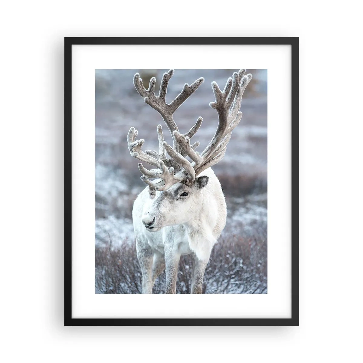 Plakat i sort ramme - Portræt i solen - 40x50 cm