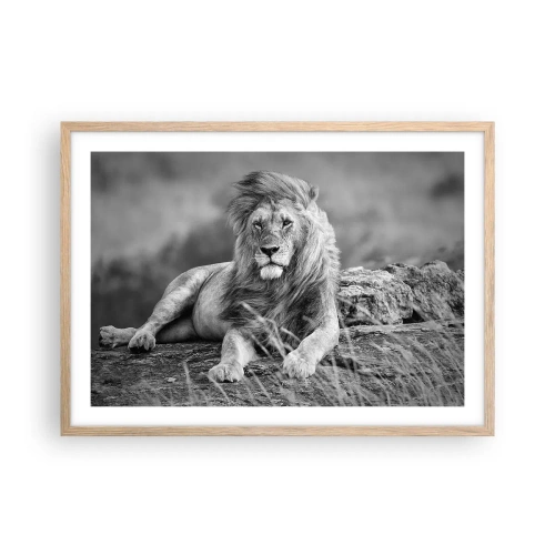 Plakat i ramme af lyst egetræ - Kongelig siesta - 70x50 cm