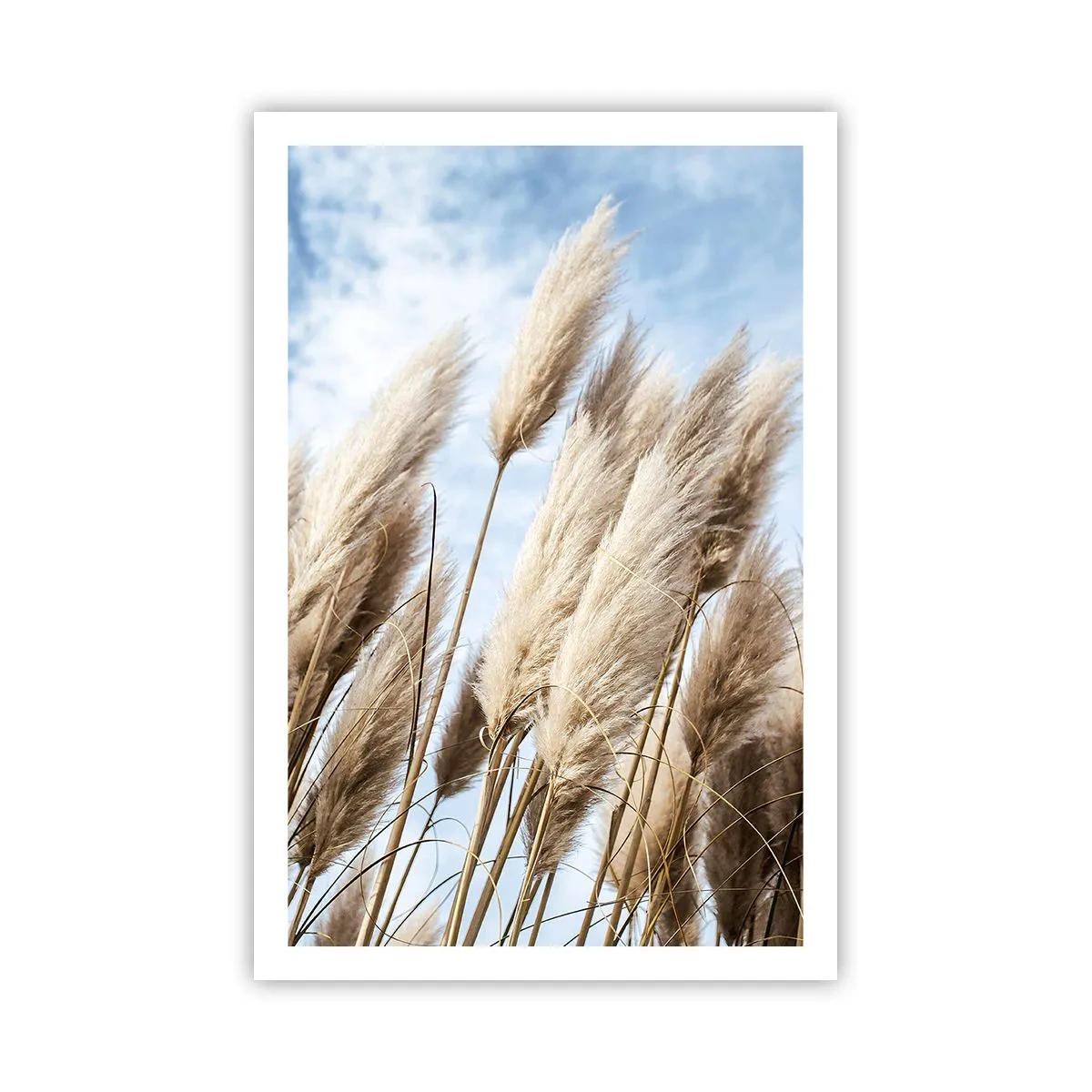 Plakat - Solrig og blæsende kærtegn - 61x91 cm