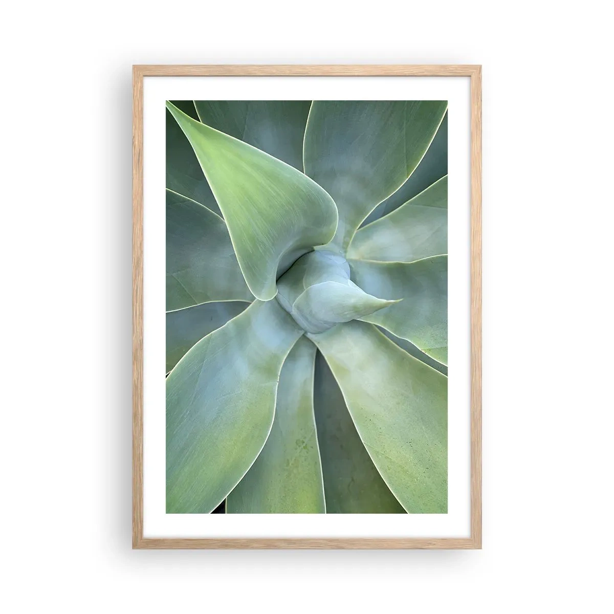 Plakat i ramme af lyst egetræ - Den grønne fødsel - 50x70 cm