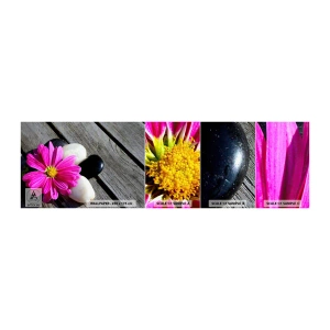 Fototapet Prøve Standard Eco - Hvil på molen - Blomst, Sten, træbro - 100x30 cm