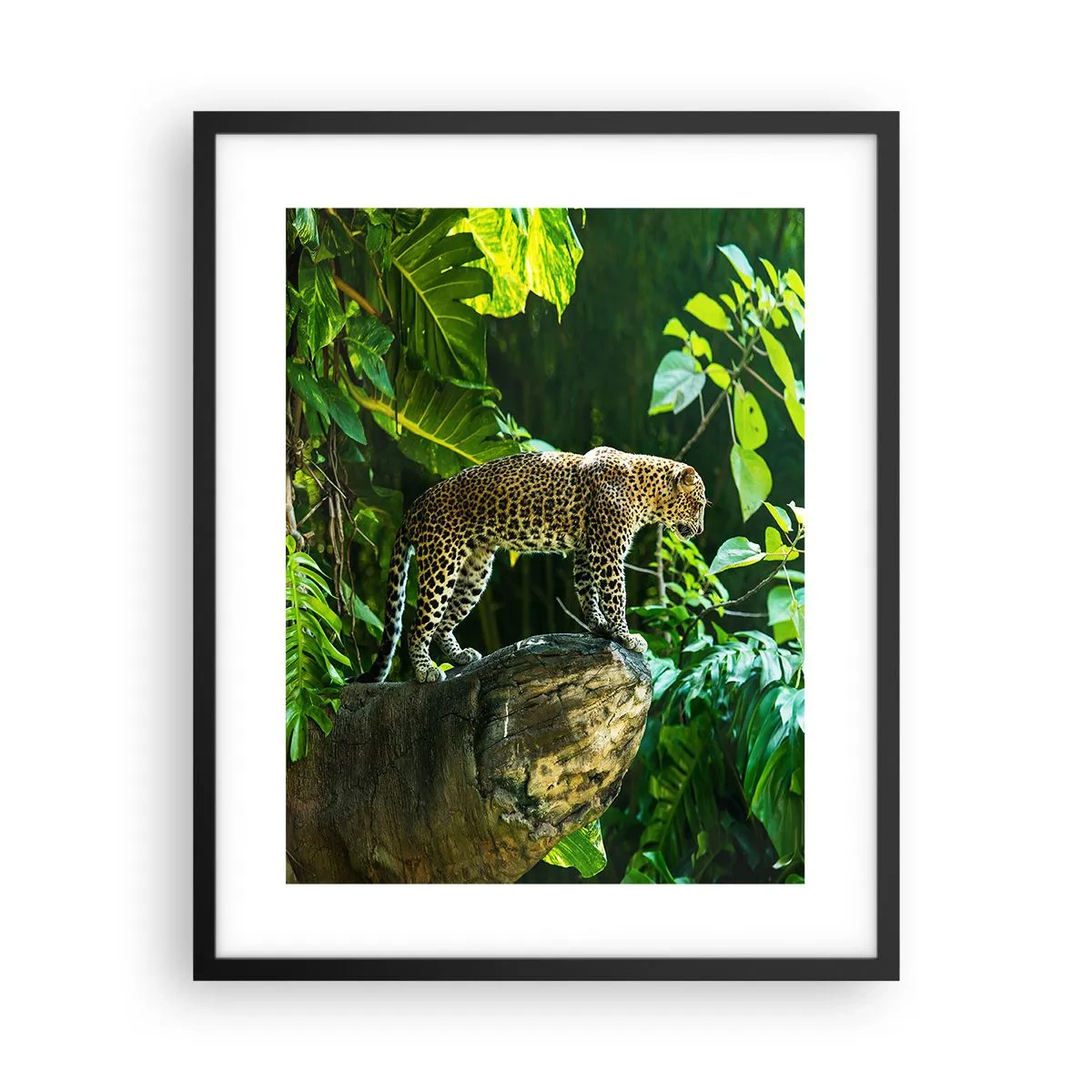 Plakat i sort ramme - Til jagt? - 40x50 cm