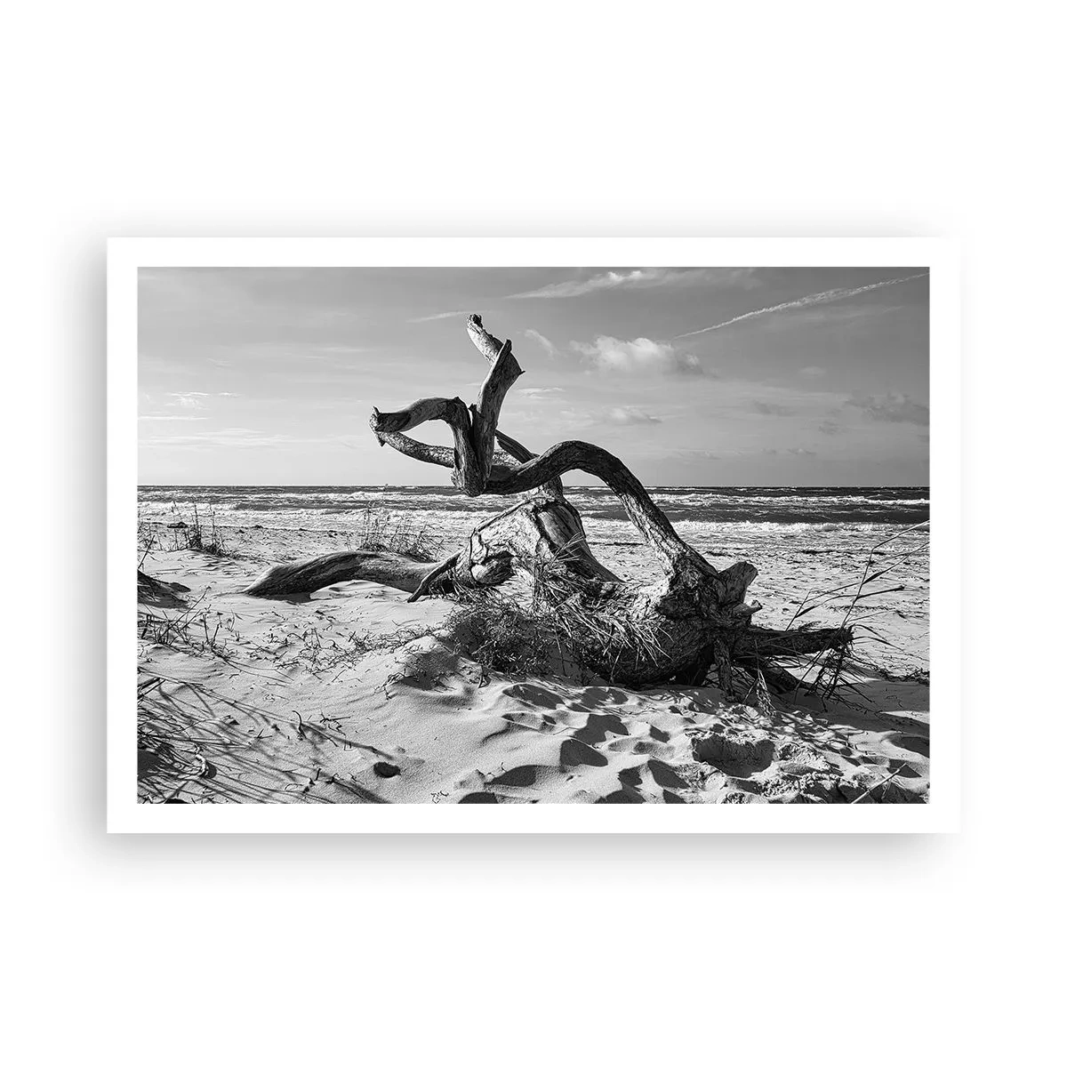Plakat - Havets skulptur - 100x70 cm