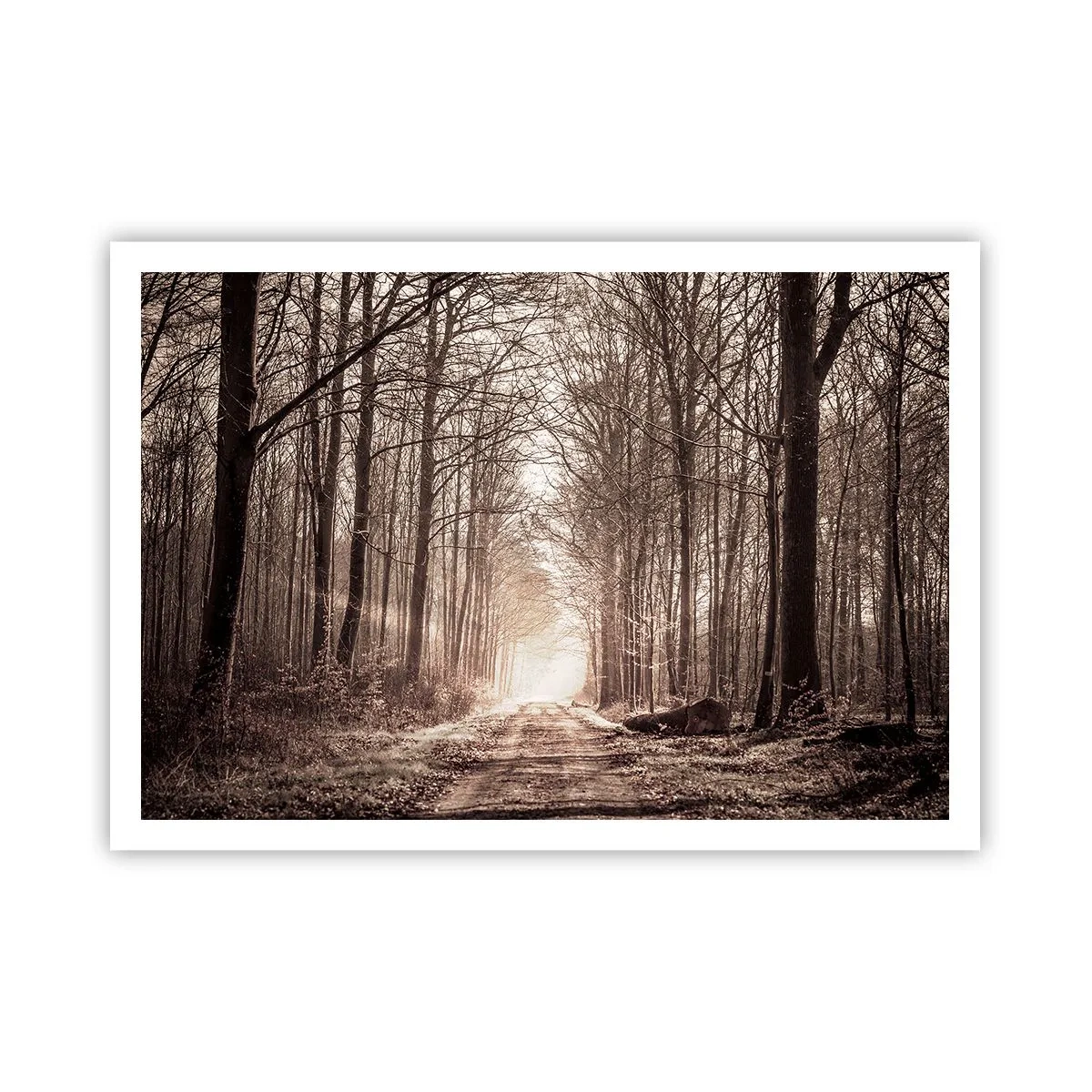 Plakat - Skovkatedralen - 100x70 cm