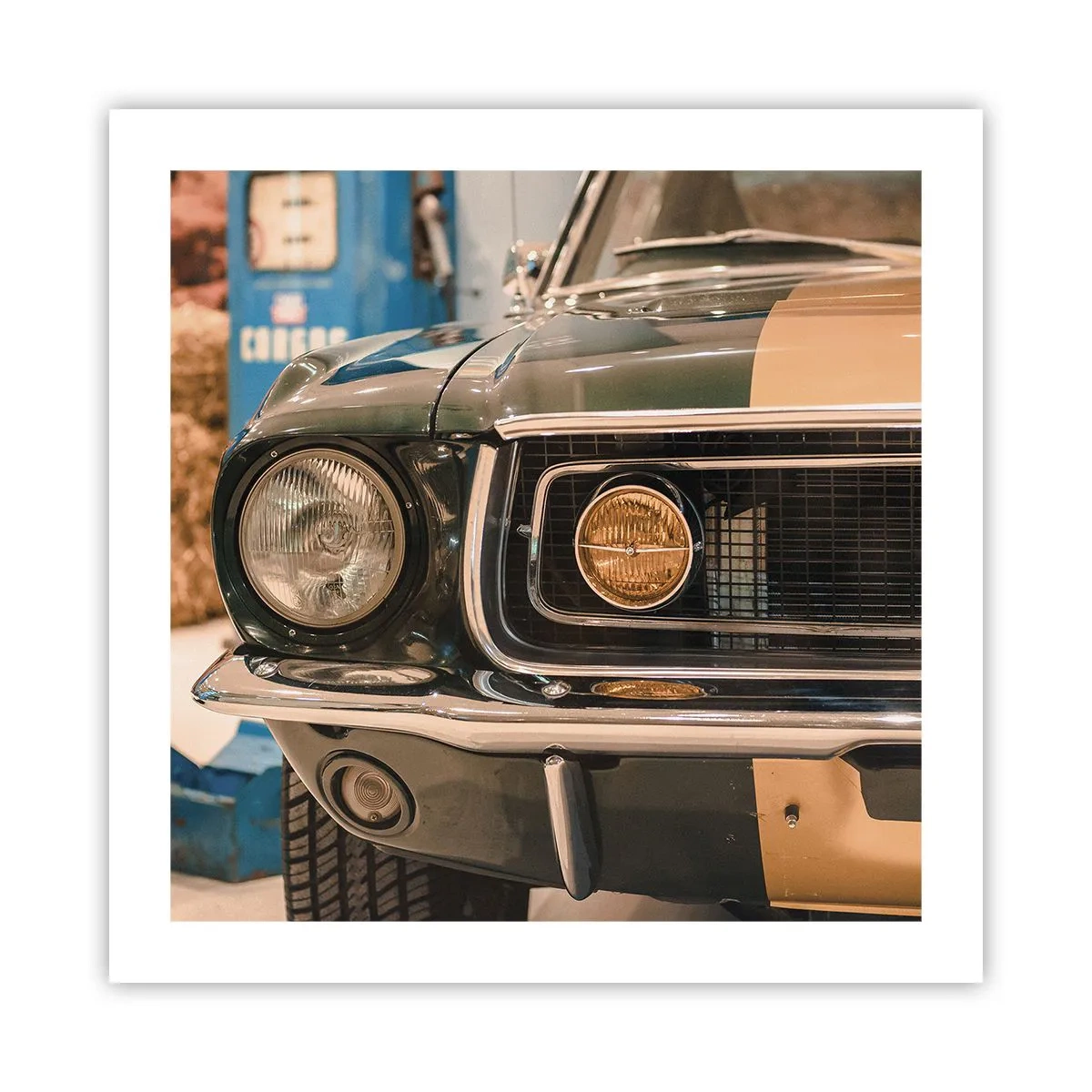 Plakat - Møde med en legende - 50x50 cm