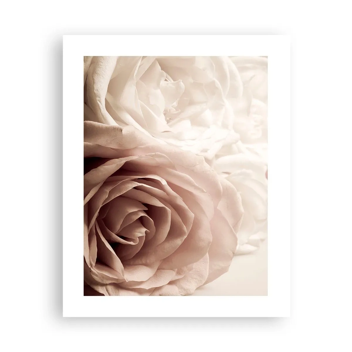 Plakat - I rosens hjerte - 40x50 cm