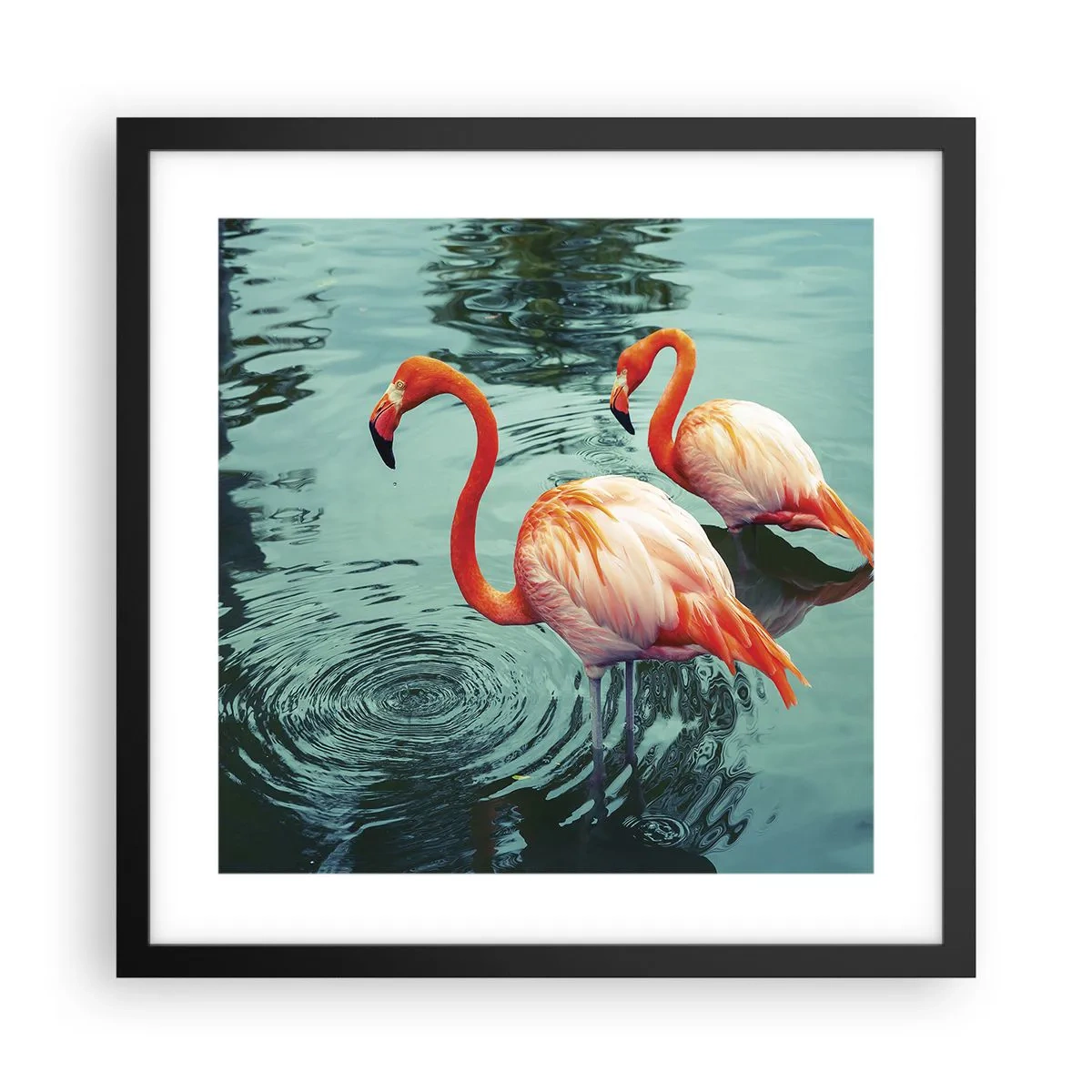 Plakat i sort ramme - Vi er nu på mode - 40x40 cm