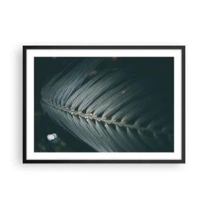 Plakat i sort ramme - Naturens præcision - 70x50 cm