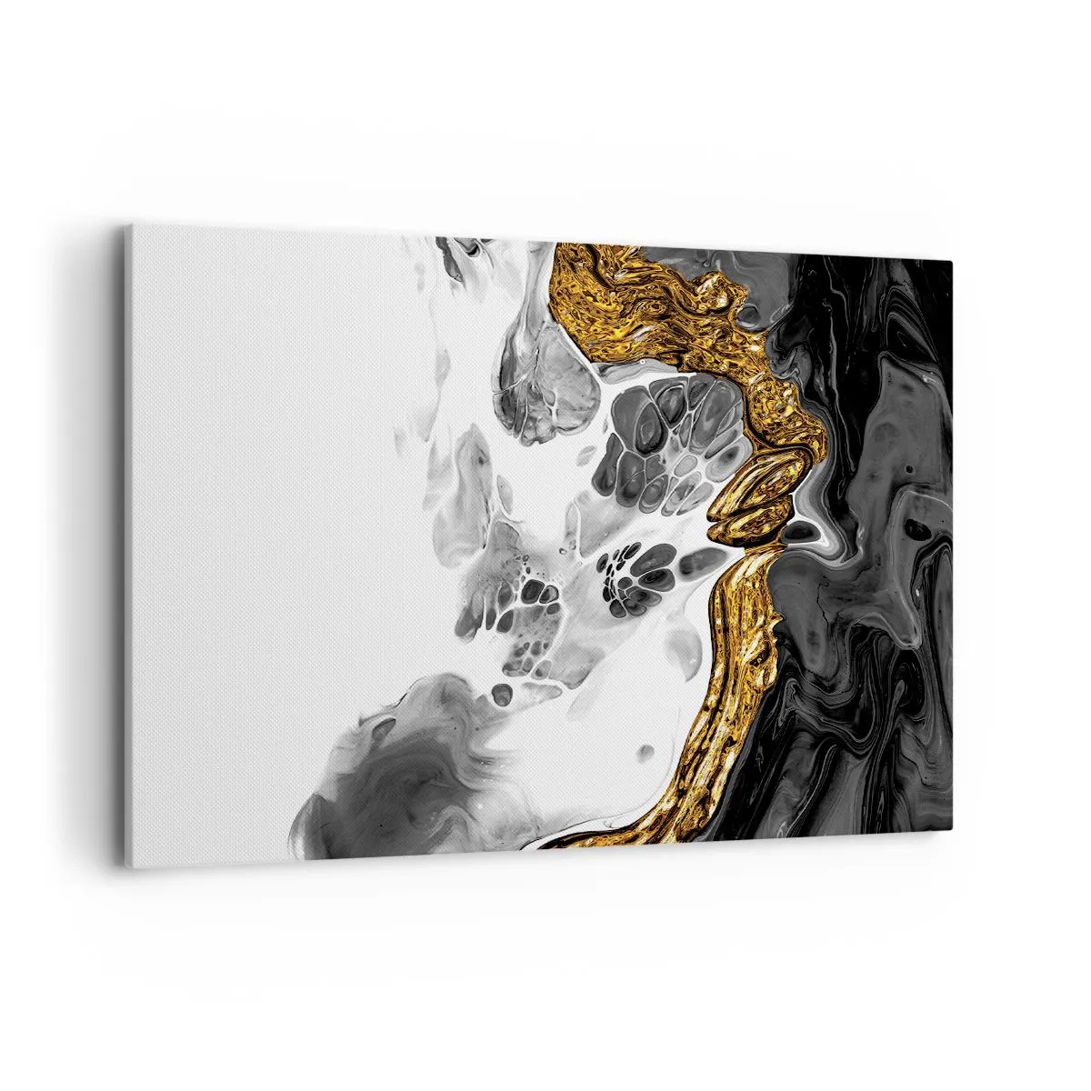 Lærredstryk - Billede på lærred - Organisk sammensætning - 100x70 cm