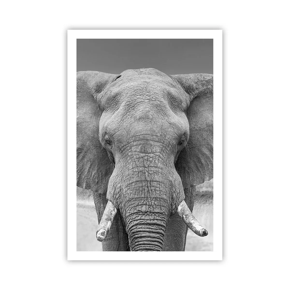 Plakat - Velkommen til min verden - 61x91 cm