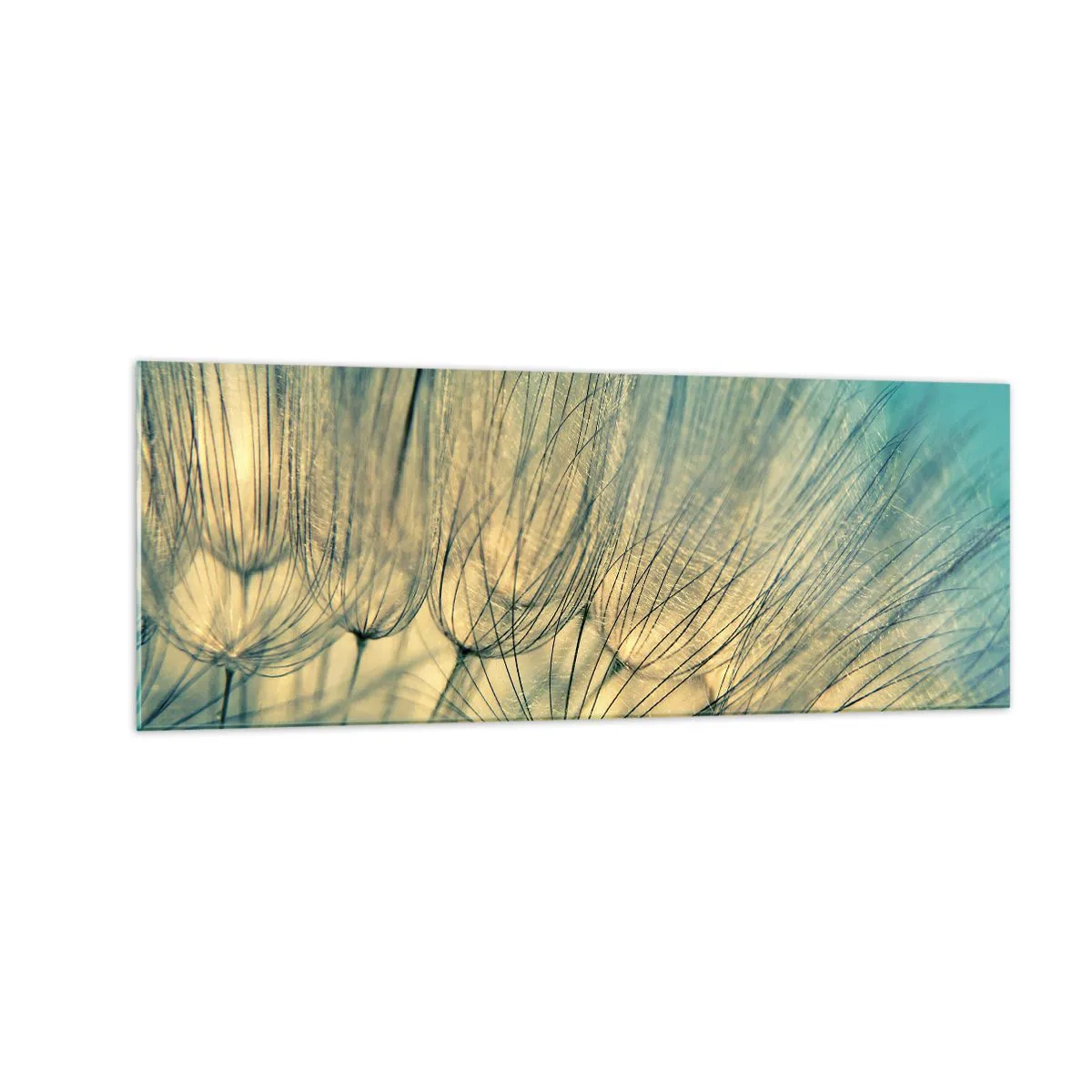 Billede på glas - Venter på vinden - 140x50 cm