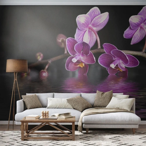 Fototapet Standard Eco - Lilla orkideer over en vandoverflade på en sort baggrund - 100x70cm - En lilla afspejling af skønhed - Moderne vægdekoration til stue og soveværelse ARTTOR