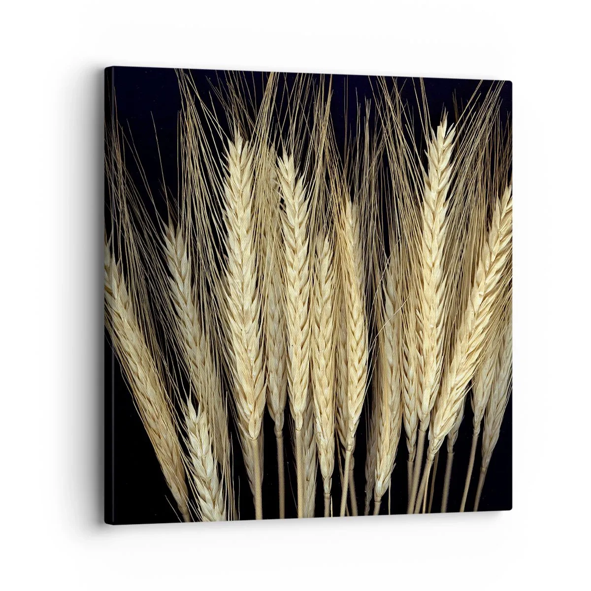 Lærredstryk - Billede på lærred - Rustik magi - 30x30 cm