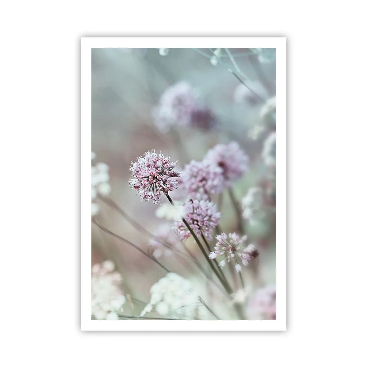 Plakat - Søde filigranurter - 70x100 cm