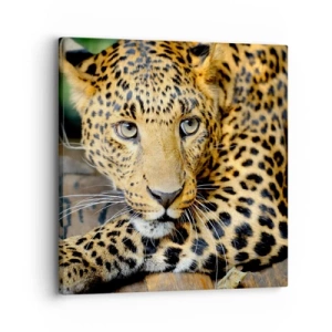 Lærredstryk - Billede på lærred - Vær ikke bange, kom nu - 30x30 cm