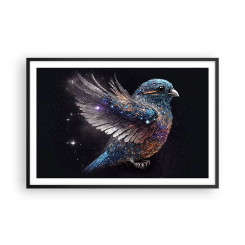 Plakat i sort ramme - Diamantspurv - 91x61 cm