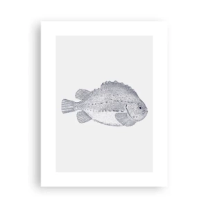 Plakat - Til naturforskerens album - 30x40 cm