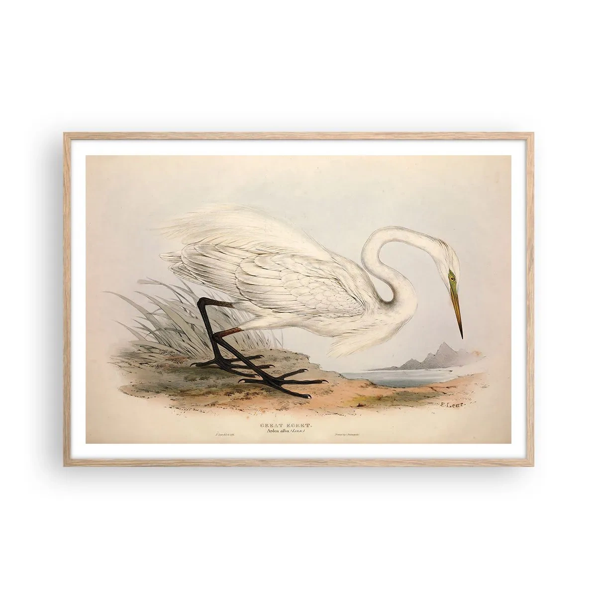 Plakat i ramme af lyst egetræ - Dame på sivene - 100x70 cm