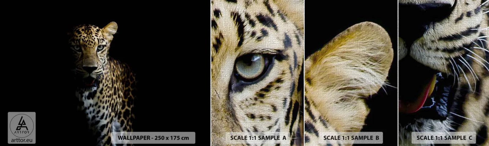 Prøve Fototapet Premium Canvas - Mørk skønhed - Dyr, leopard, Vild kat - 100x30 cm