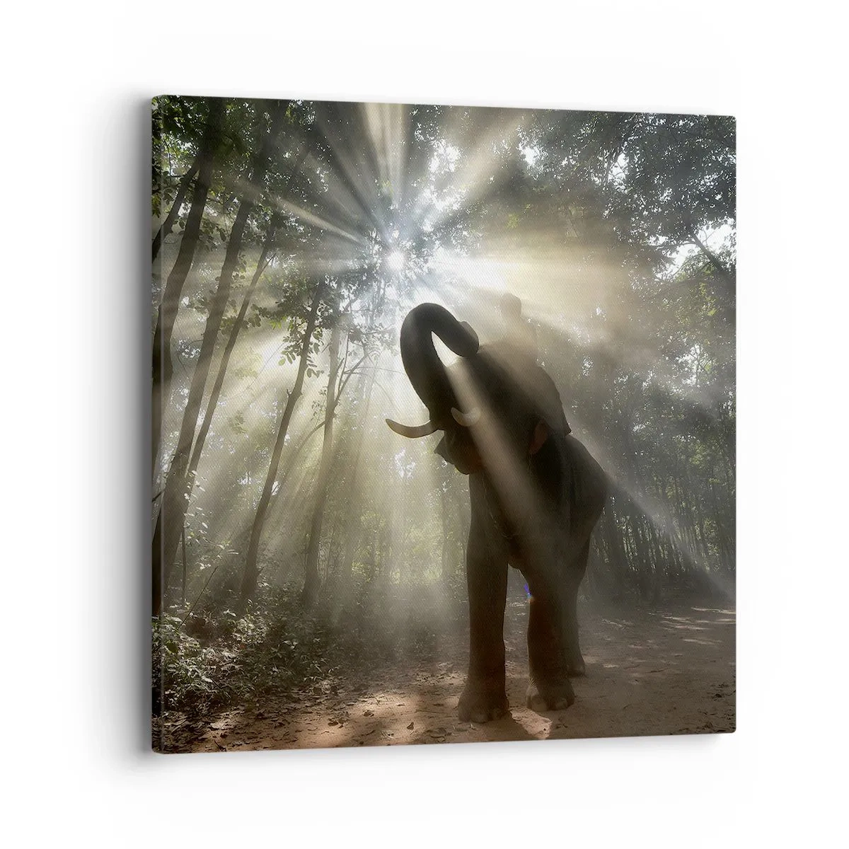 Lærredstryk - Billede på lærred - Under en lykkelig stjerne - 40x40 cm