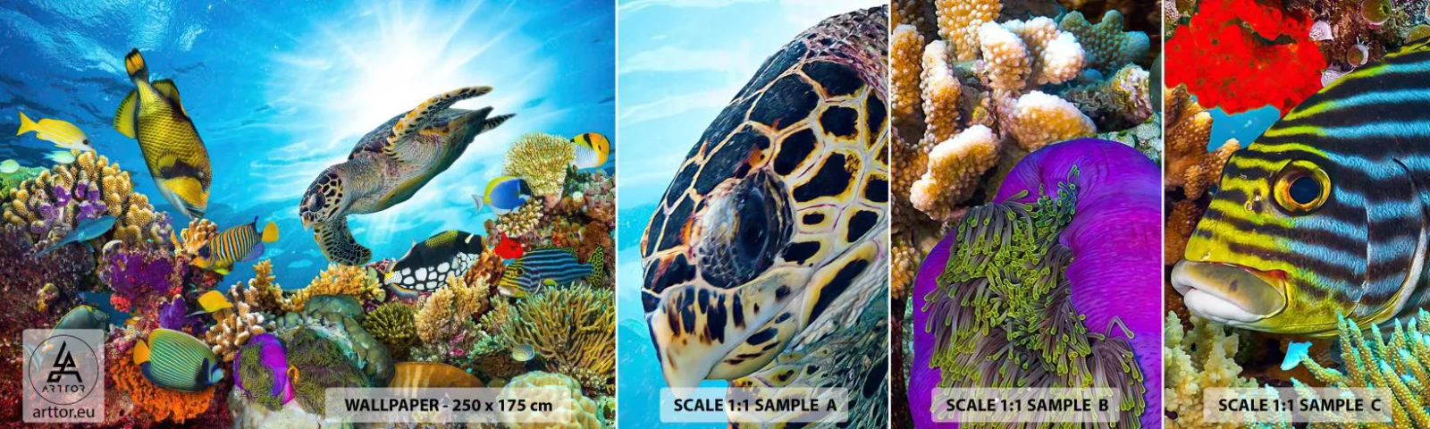 Fototapet Prøve Standard Eco - Koralpromenade - koralrev, Hav, Undervandsverden - 100x30 cm