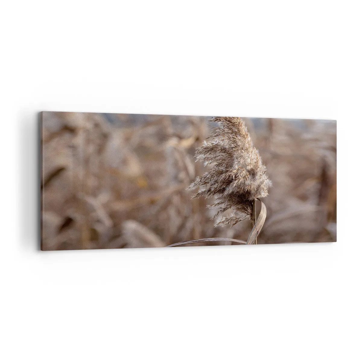 Lærredstryk - Billede på lærred - Tid til at flyve væk med vinden - 120x50 cm