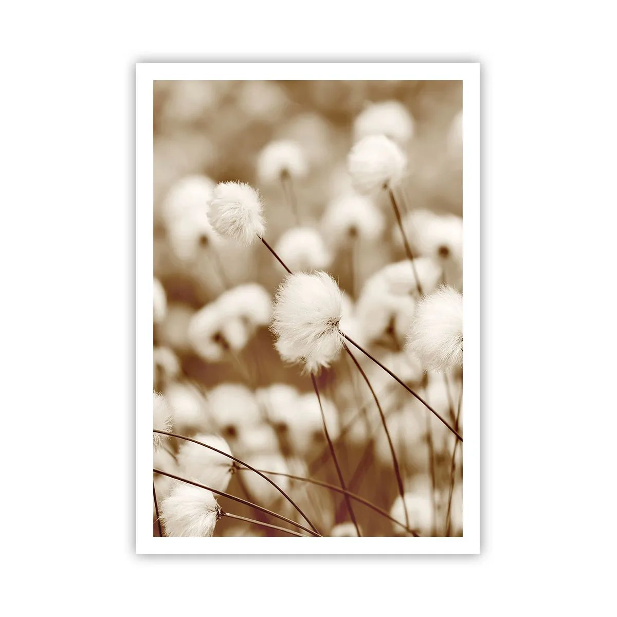 Plakat - Fyldig mark - 70x100 cm