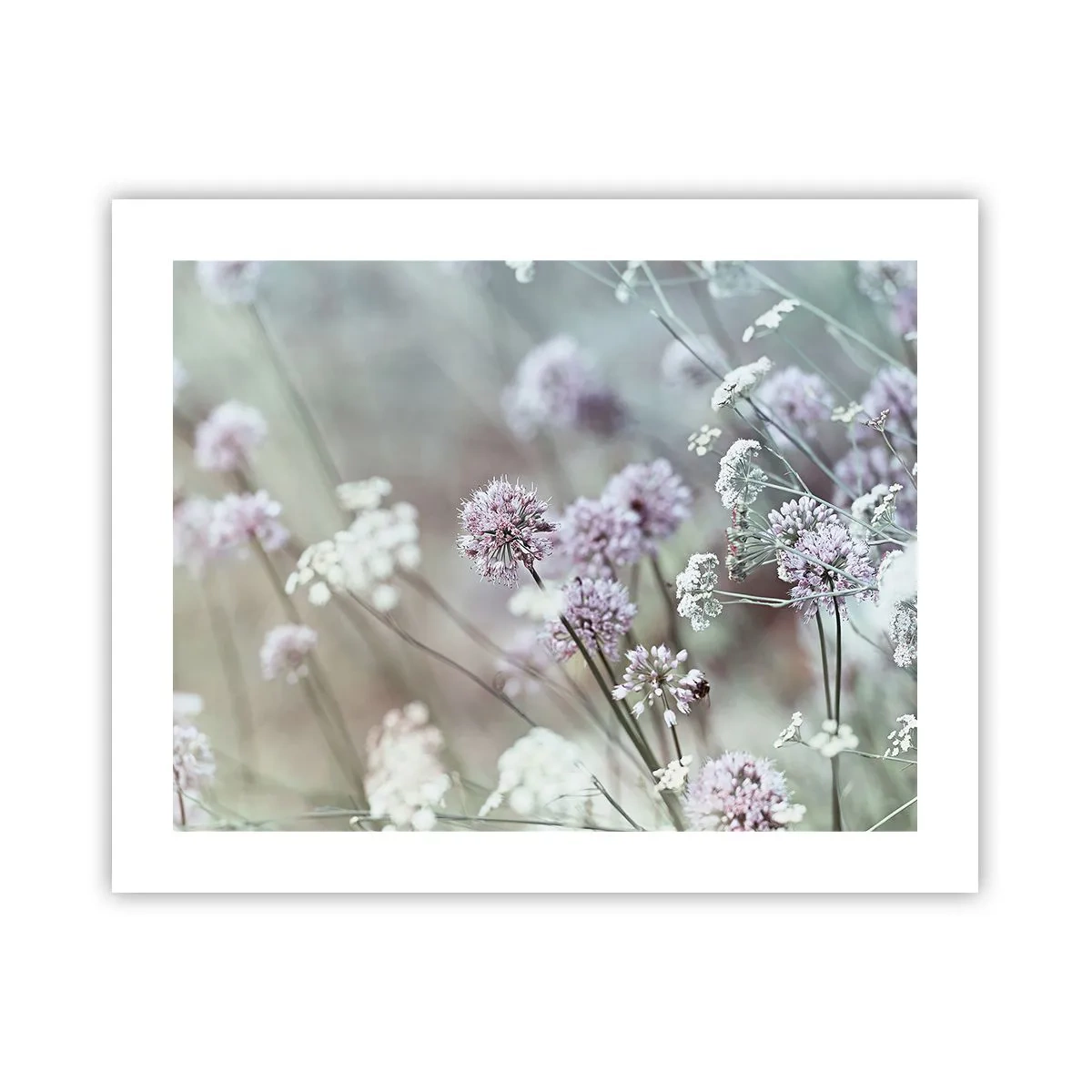 Plakat - Søde filigranurter - 50x40 cm