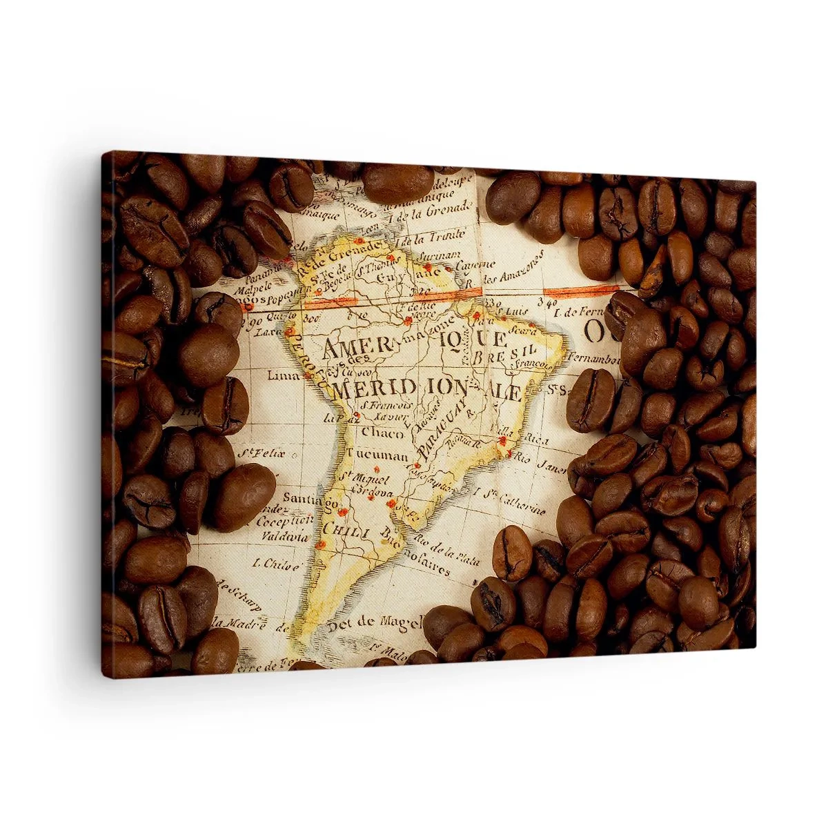 Lærredstryk - Billede på lærred - Et kort over Sydamerika omgivet af kaffebønner. - 70x50cm - Hvor kommer den bedste kaffe fra? - Moderne vægdekoration til stue og soveværelse ARTTOR