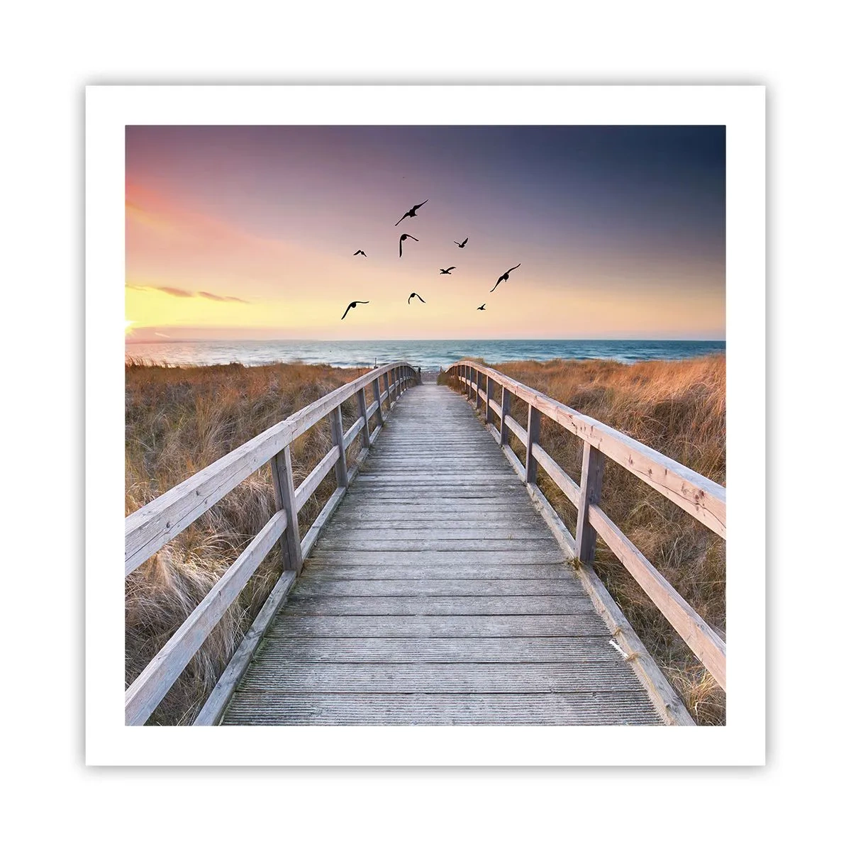 Plakat - Rummet med højder - 60x60 cm