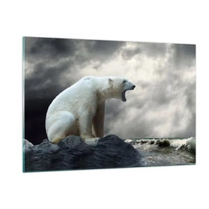 Billede på glas - Den ensomme konge af Arktis - 120x80 cm