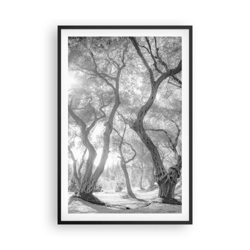 Plakat i sort ramme - I en olivenlund - 61x91 cm