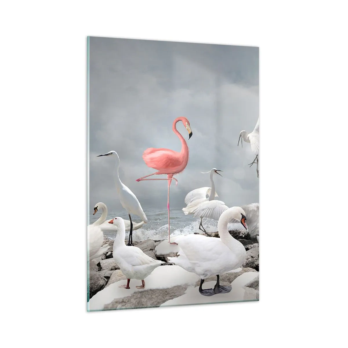 Billede på glas - Hvor kommer jeg fra? - 50x70 cm