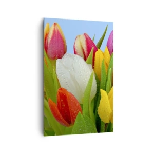 Lærredstryk - Billede på lærred - En blomstret regnbue i dugdråber - 80x120 cm