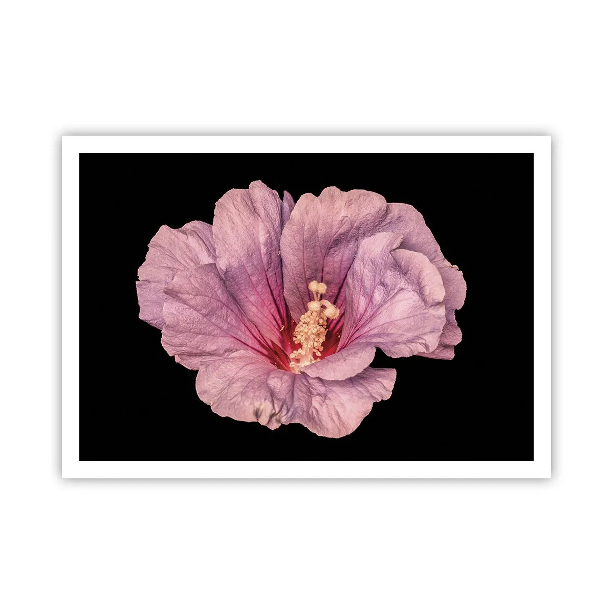 Plakat - Lige i hjertet - 100x70 cm