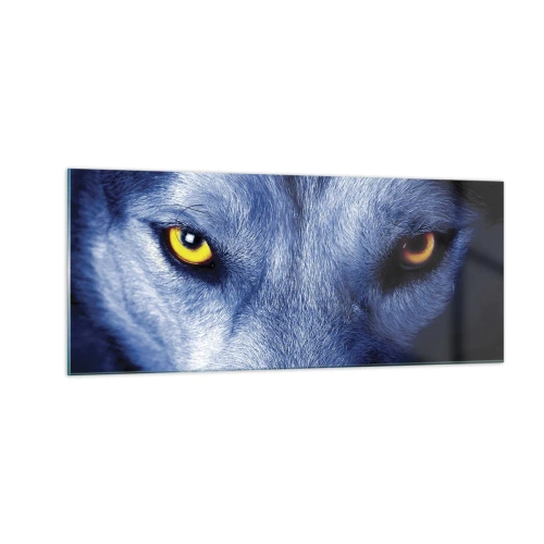 Billede på glas - Et hypnotiserende udseende - 100x40 cm