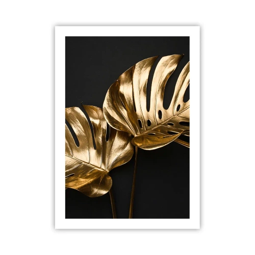 Plakat - Naturens skatte - 50x70 cm