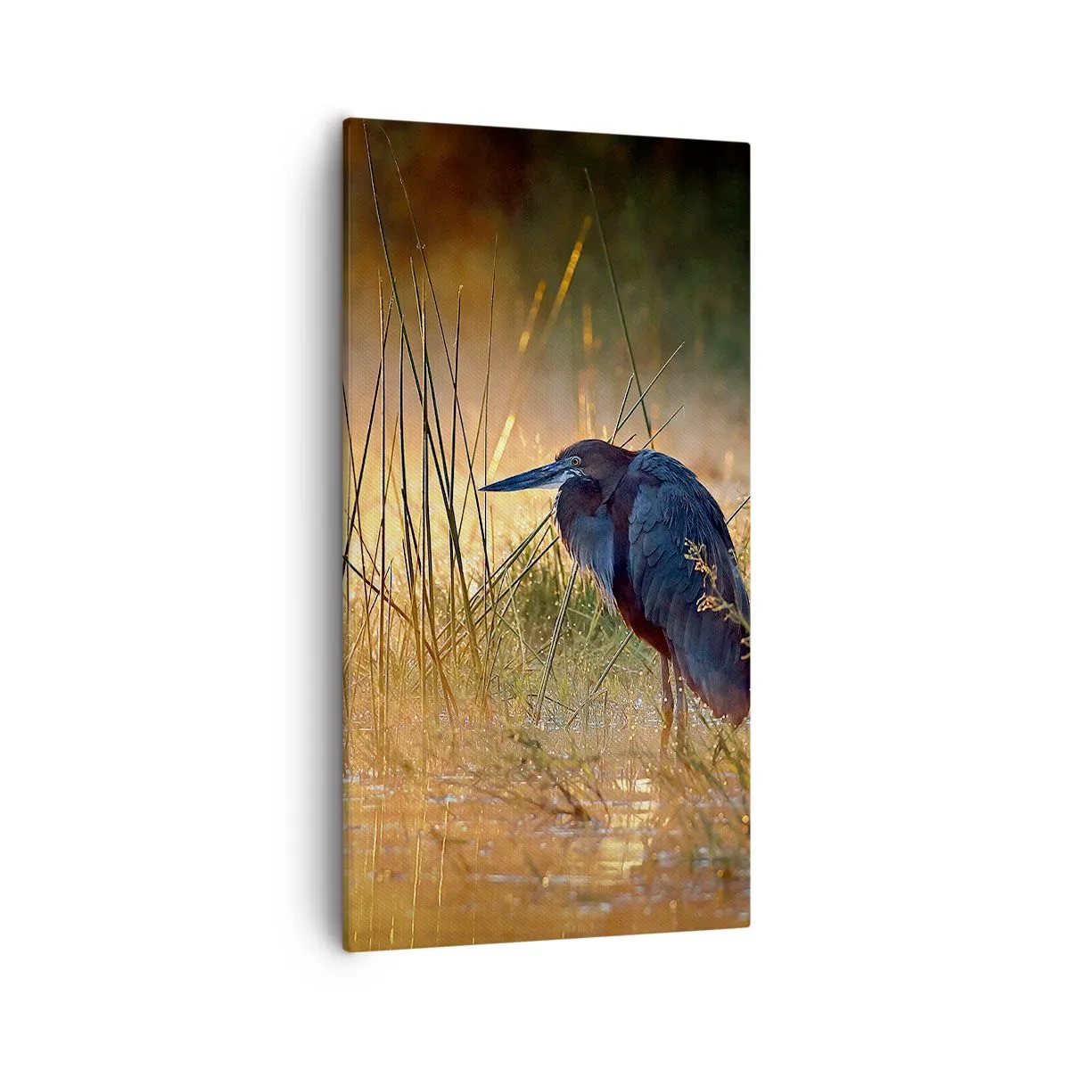 Lærredstryk - Billede på lærred - Giv mig en chance med disse billeder - 55x100 cm