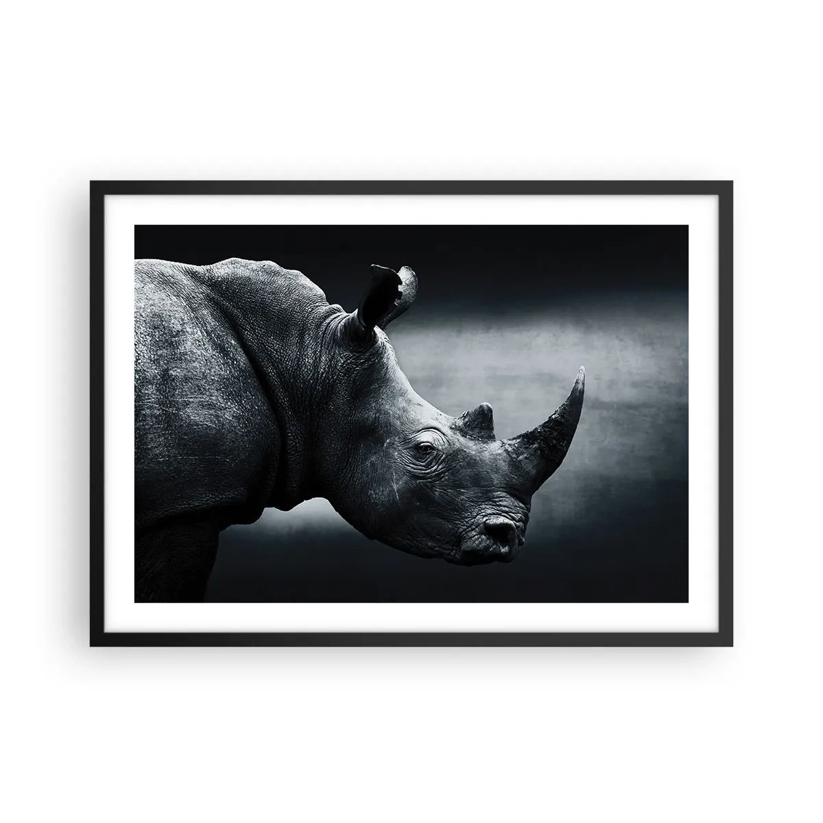 Plakat i sort ramme - Højre profil - 70x50 cm