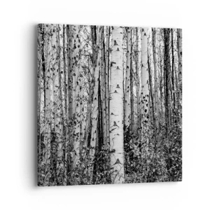 Lærredstryk - Billede på lærred - Kolonnade af birk - 40x40 cm